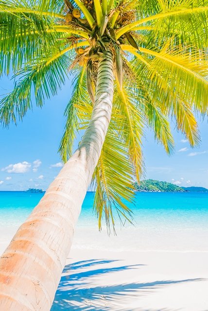 exotischen_Reiseziele_fur_den_Winter_Seychelles-Islands