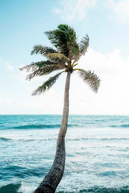 exotischen_Reiseziele_fur_den_Winter_Hawaii