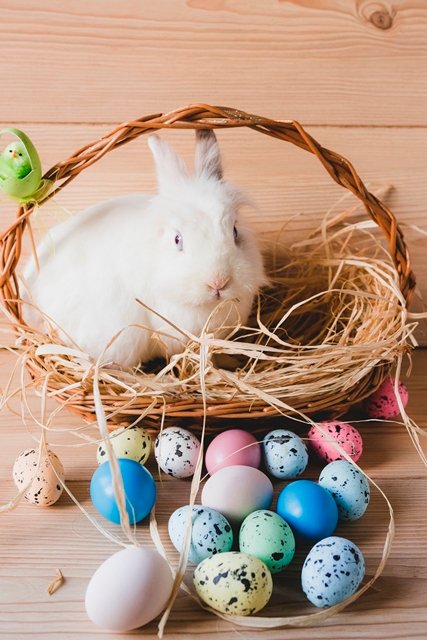 extra_frohe_ostern_idenweltblog_de