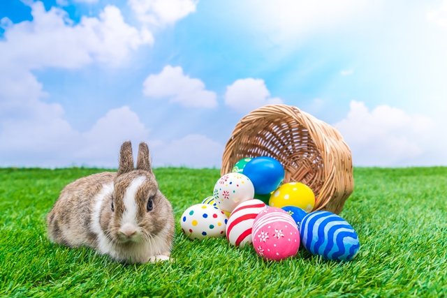 extra_frohe_ostern_idenweltblog_de
