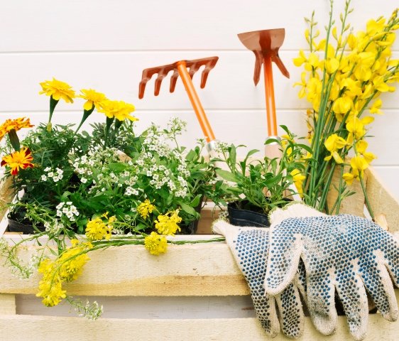 Dekoration - Garten - Frühling