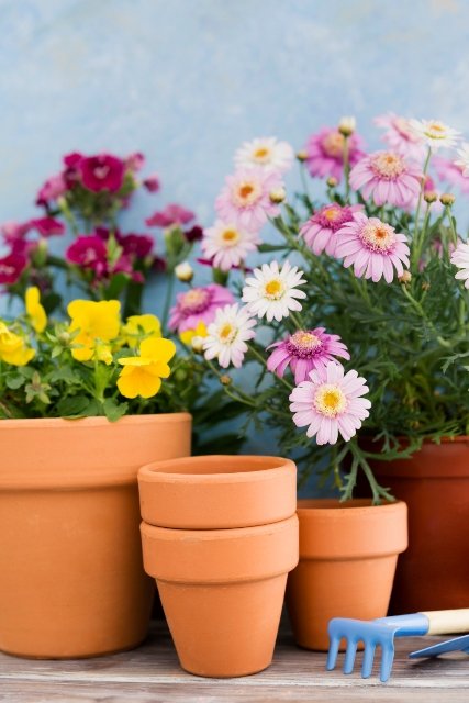 Dekoration - Garten - Frühling