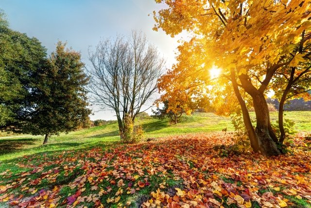 Herbstprogramme in Europa