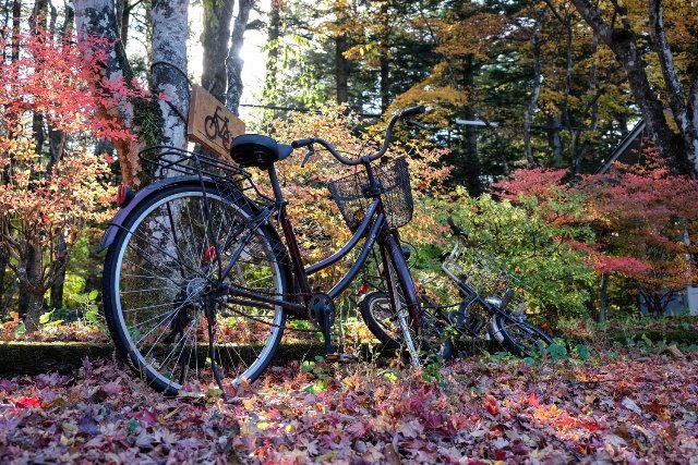 Herbstprogramme in Europa