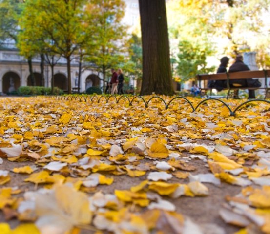 Herbstprogramme in Europa