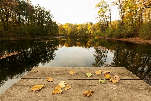 Herbstprogramme in Europa